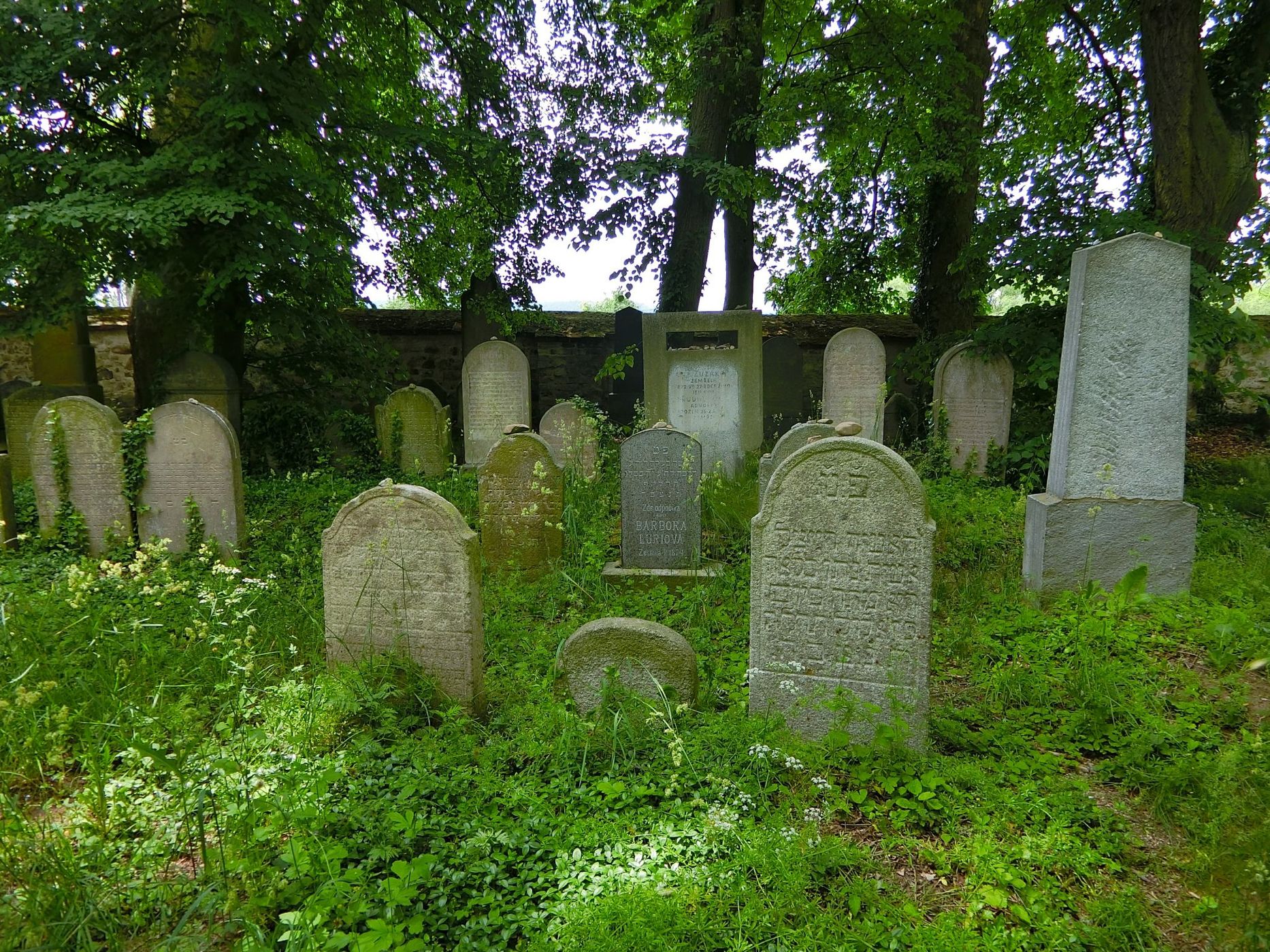 Jewish Cemetery Březnice, Czech Republic