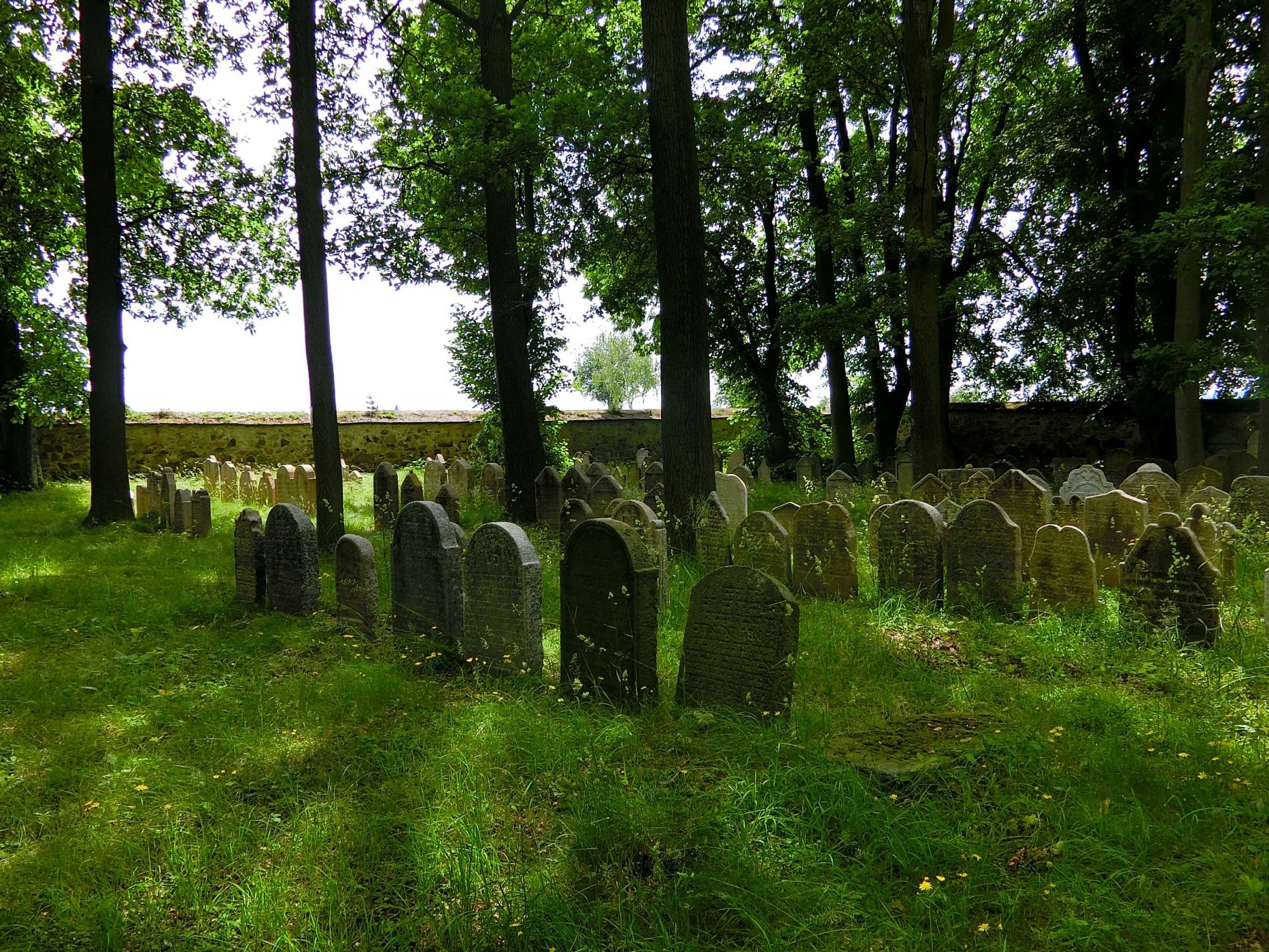 Jewish Cemetery Březnice, Czech Republic