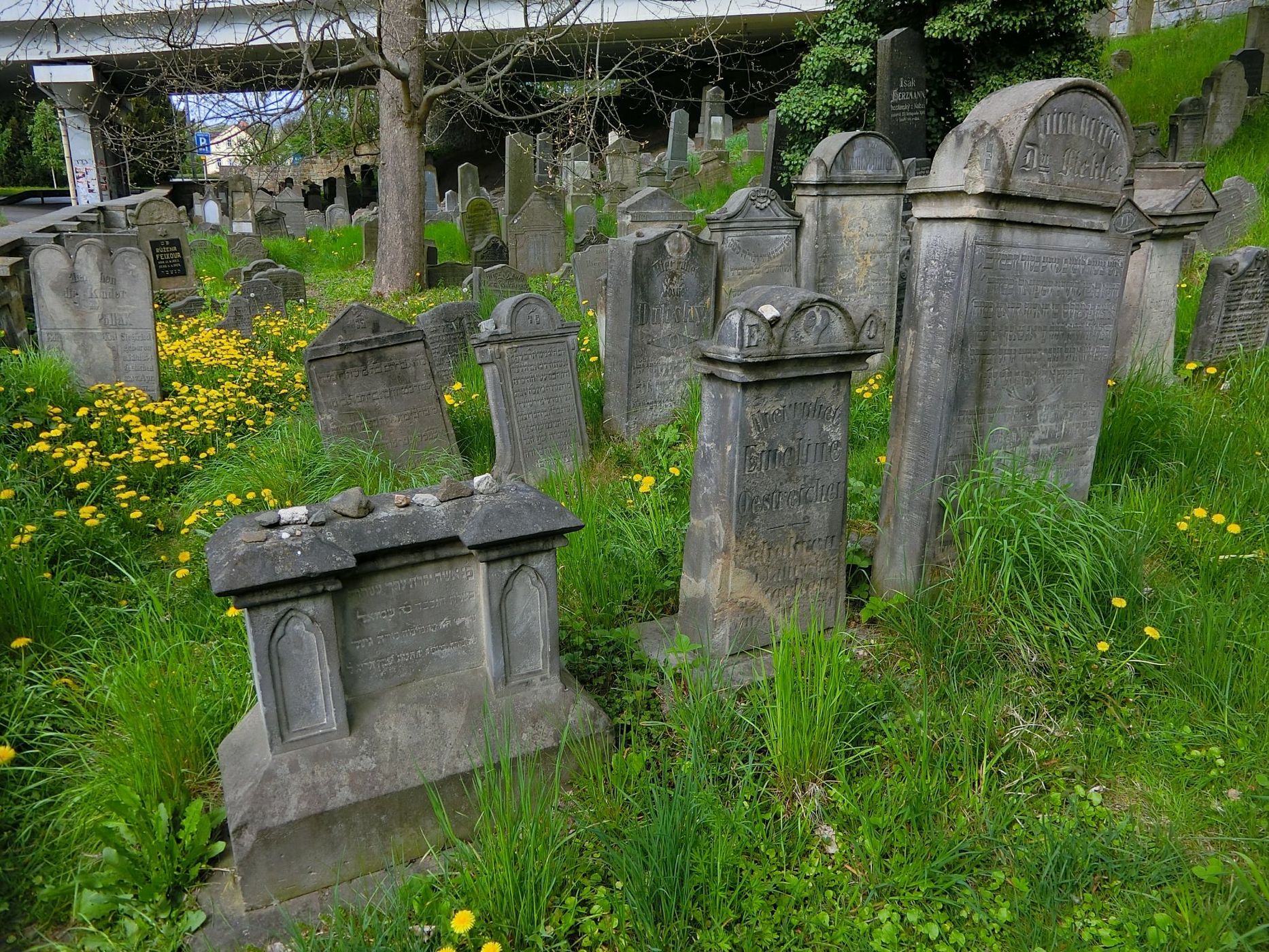 Jewish cemetery in Turnov, Czech Republic