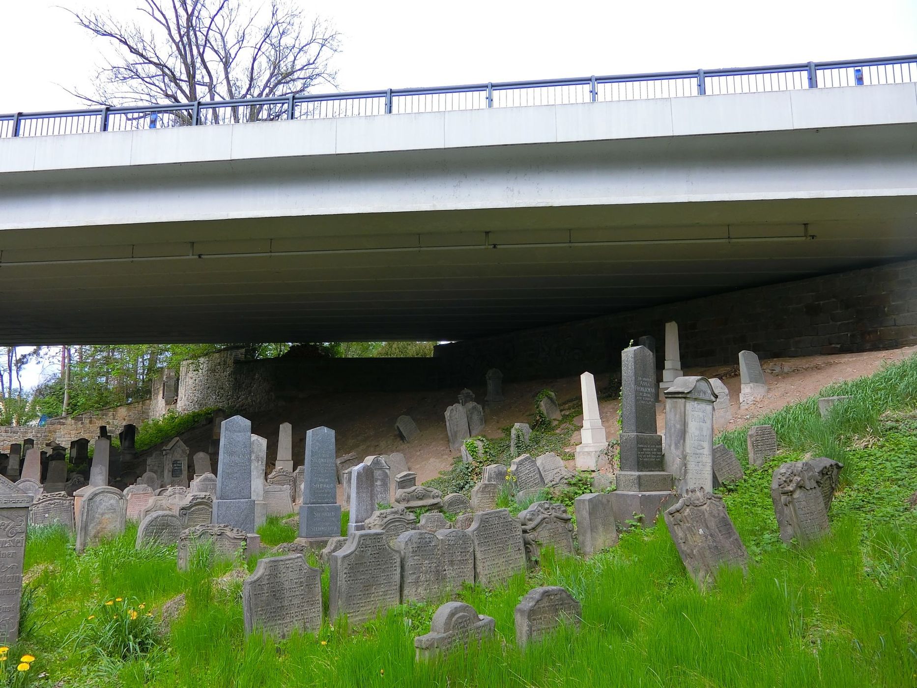 Jewish cemetery in Turnov, Czech Republic