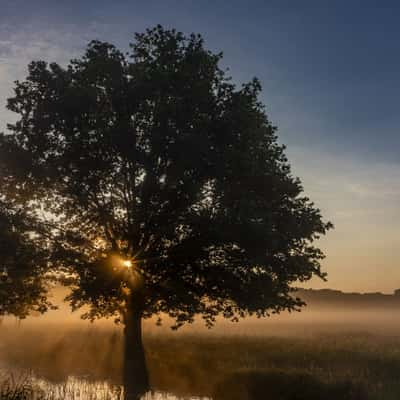 Kleine Aller, Germany