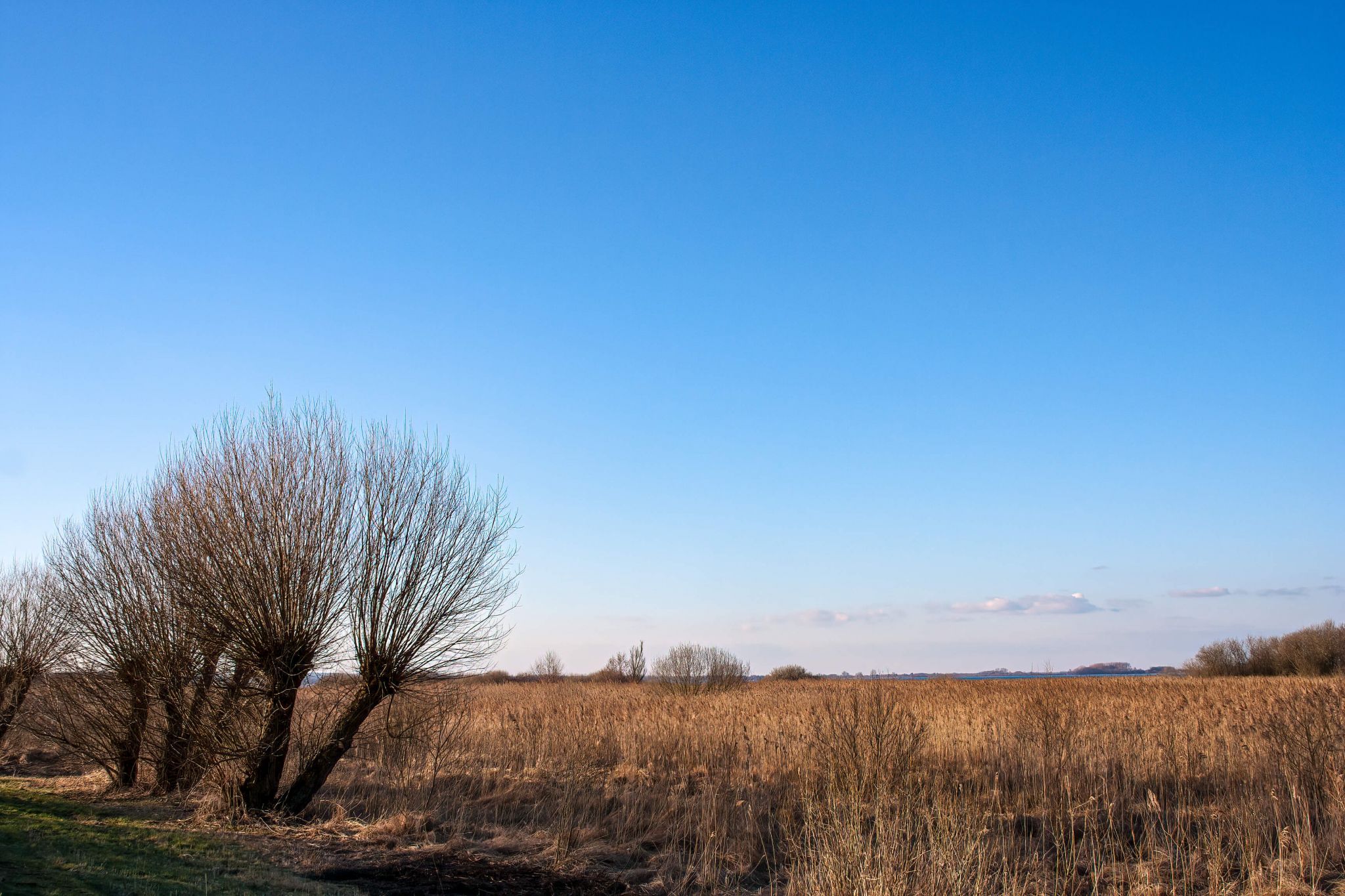 Lake Dümmer – South Shore, Germany