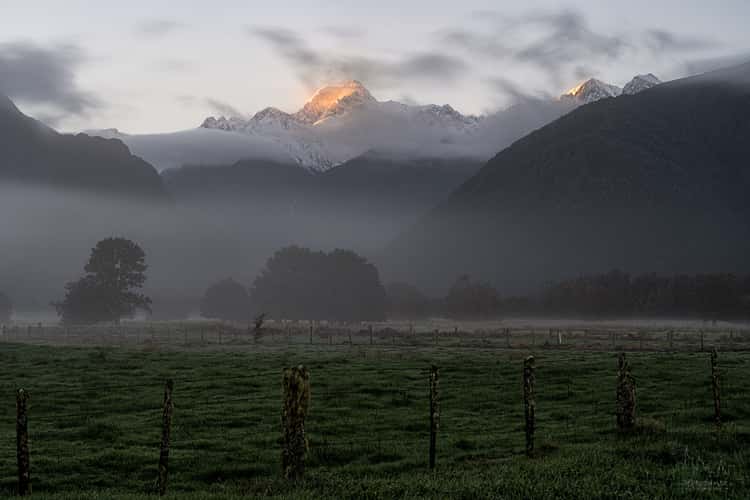 Lake Mathieson Road, Fox Glacier, NZ