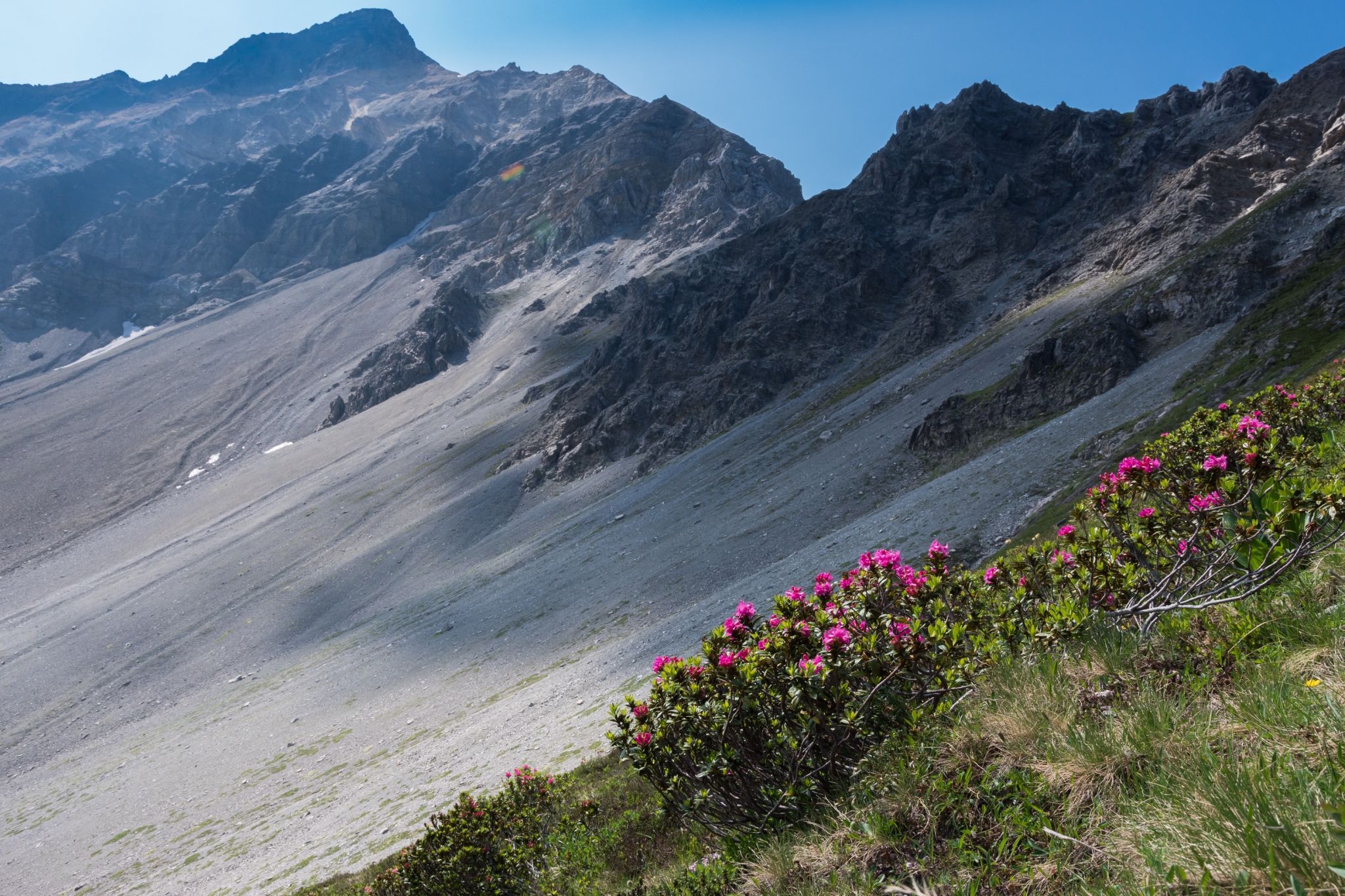 Lenzerhorn, Northwest crest, Switzerland