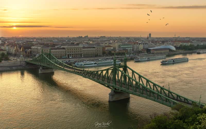 Liberty Bridge and Corvinus University, Budapest