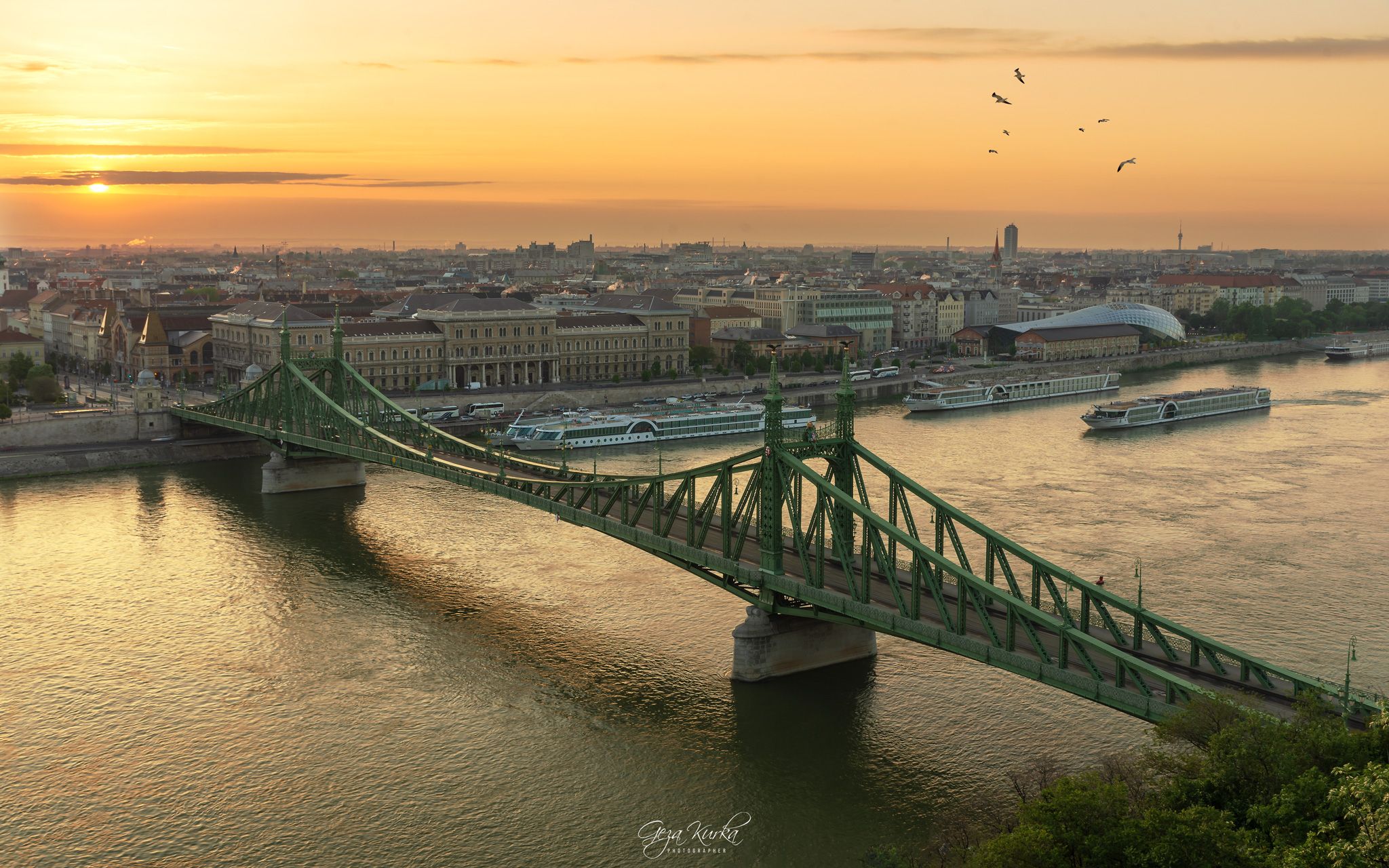 Liberty Bridge and Corvinus University, Budapest, Hungary