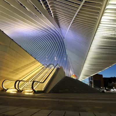 Liège-Guillemins railway station, Belgium