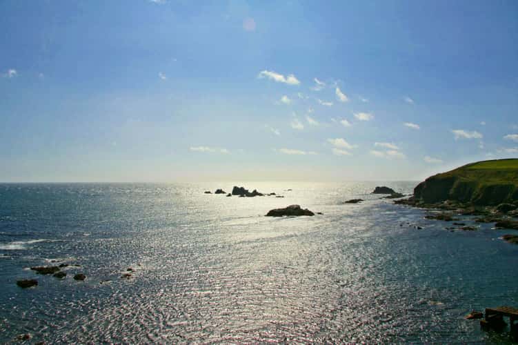 Lizard Point