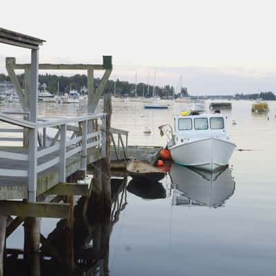 Maine lobster harbor, USA