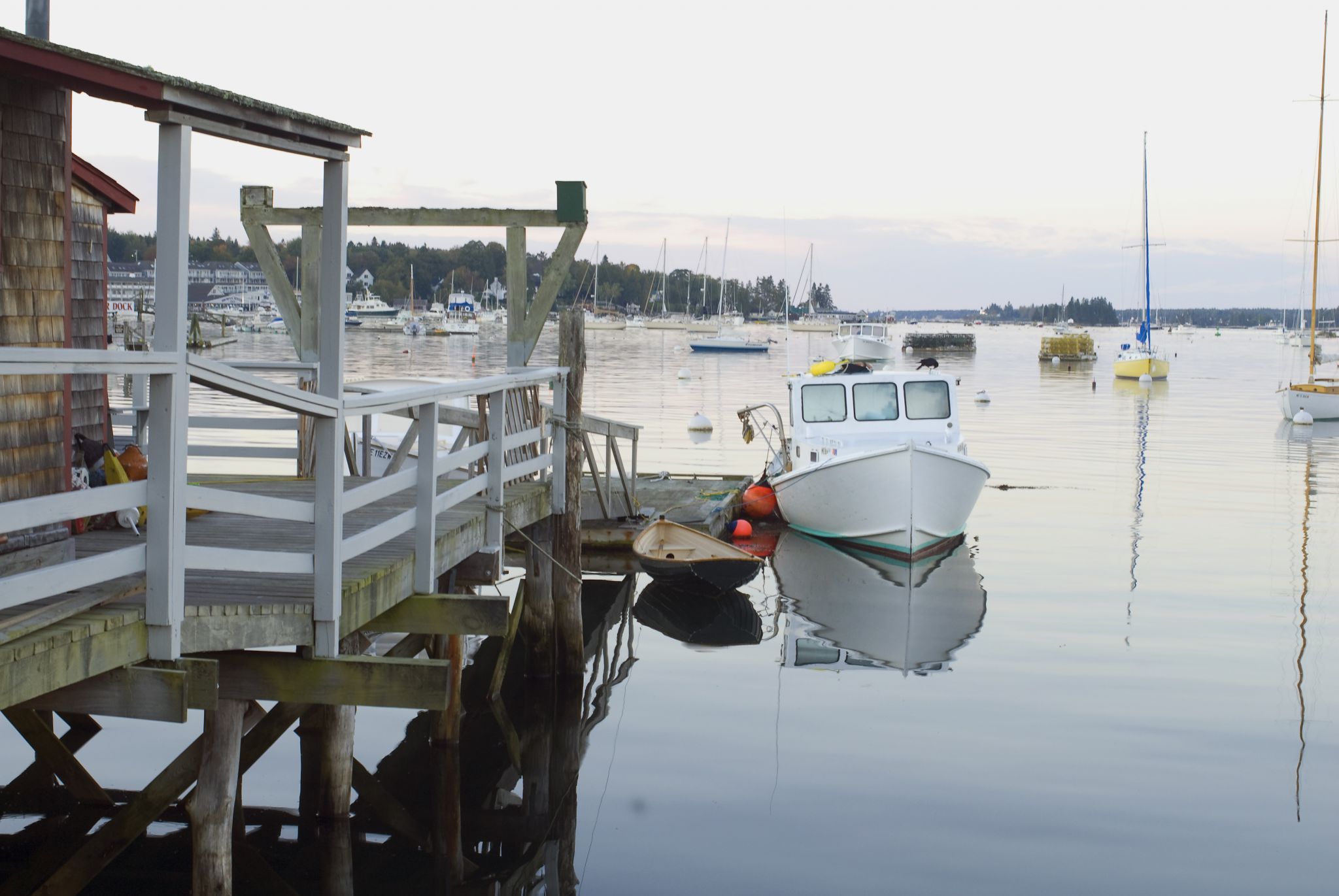 Maine lobster harbor, USA