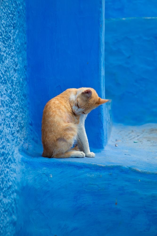 Mann in Chefchaouen, Morocco