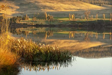 Meadowbank Lake reflection, Tasmania, Australia