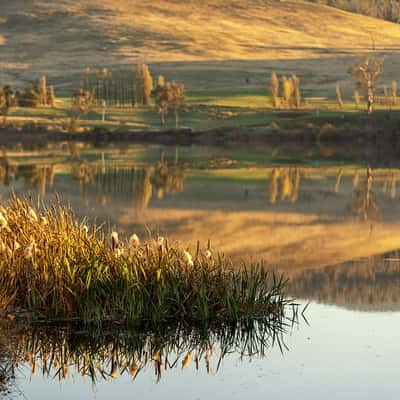 Meadowbank Lake reflection, Tasmania, Australia, Australia