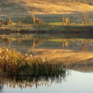 Meadowbank Lake reflection, Tasmania, Australia, Australia