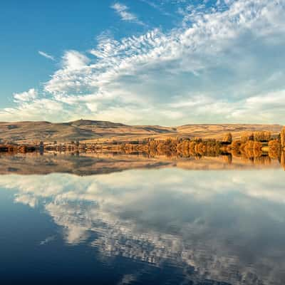 Meadowbank Lake view and reflection, Tasmania, Australia