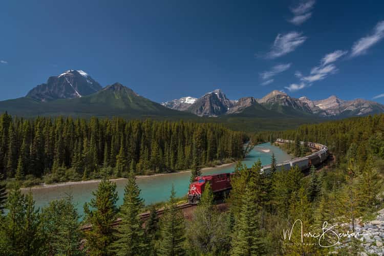 Morant's Curve