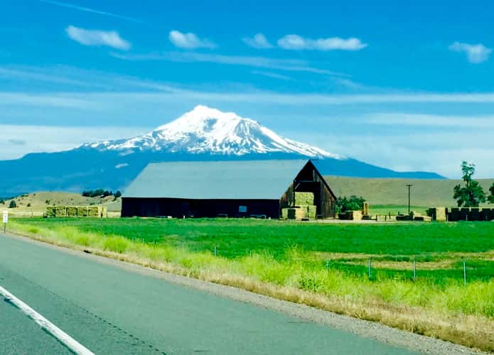 Mt. Shasta