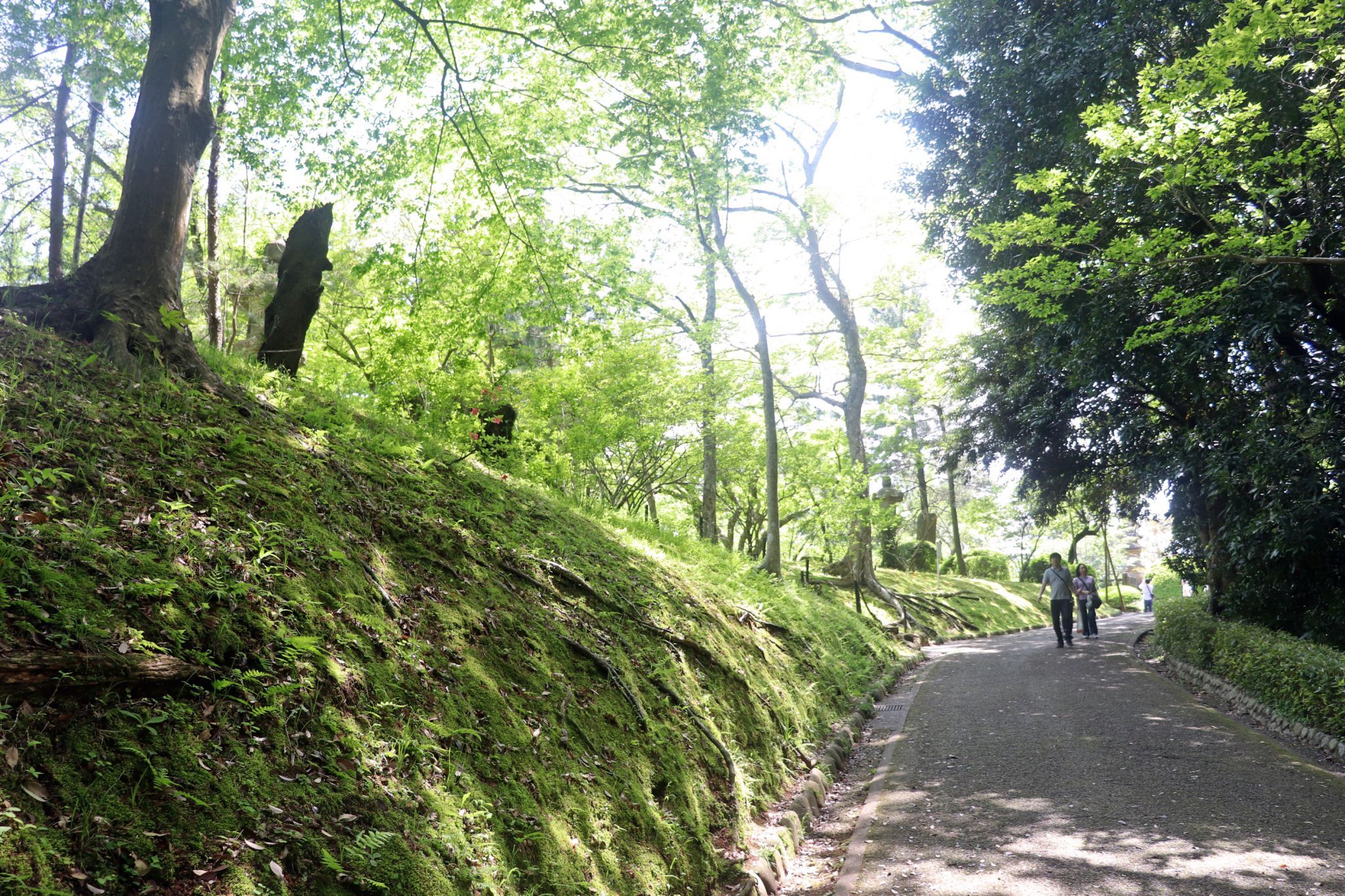 Narita-san Shinsho-ji, Japan