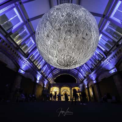 Museum of Moon at Natural History Museum, United Kingdom