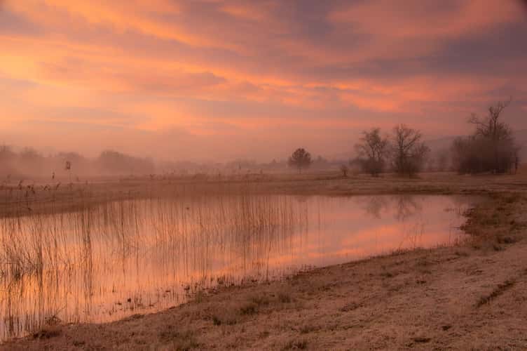 nature reserve Rottenschwil