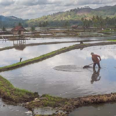 near Rante Pao, Indonesia