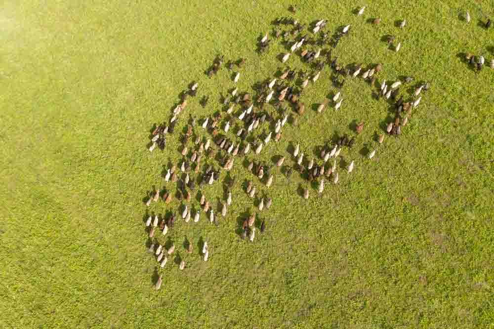 Nomad life, Kyrgyz Republic
