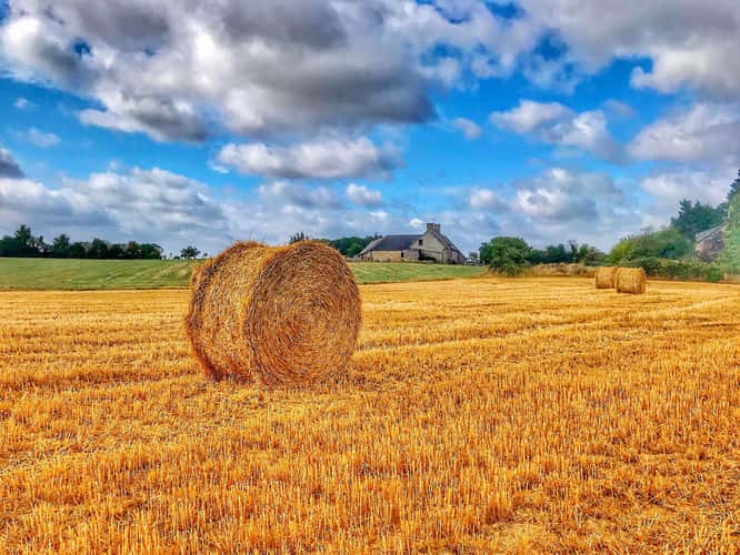 Normandy