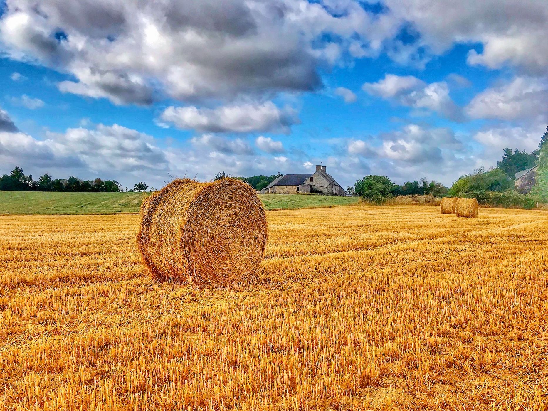 Normandy, France