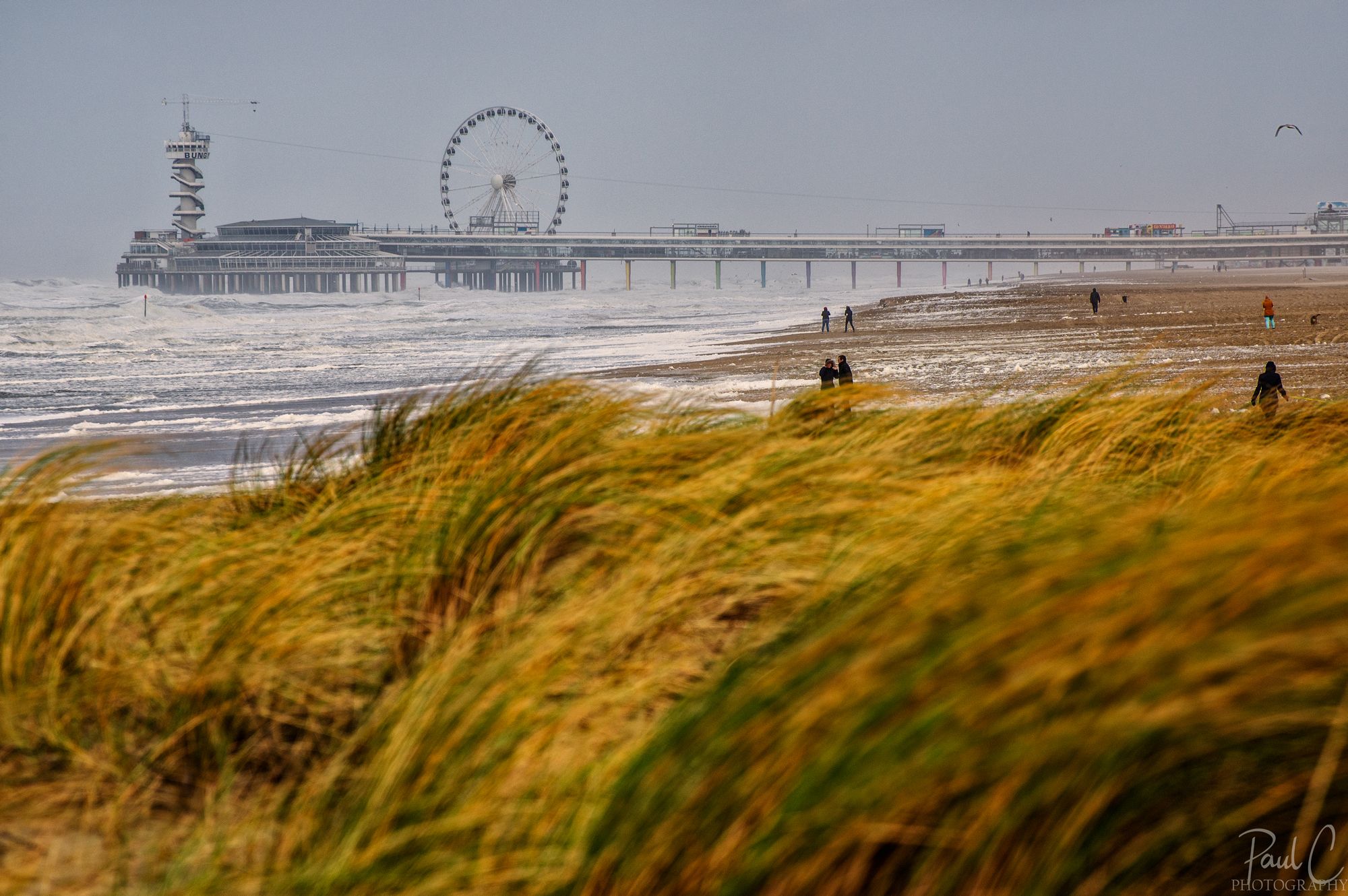 Northern Harbour Dam, The Hague, Netherlands