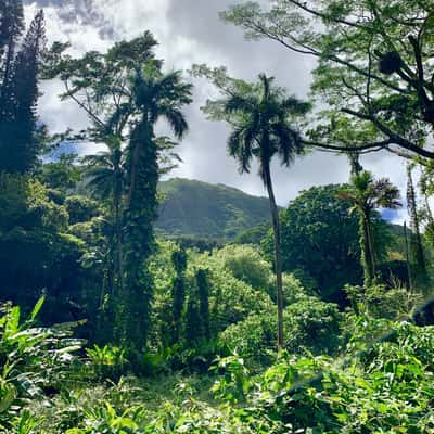 Oahu at its finest, USA