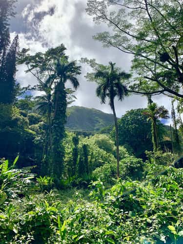 Oahu at its finest