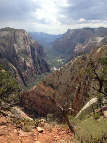 Observation Point