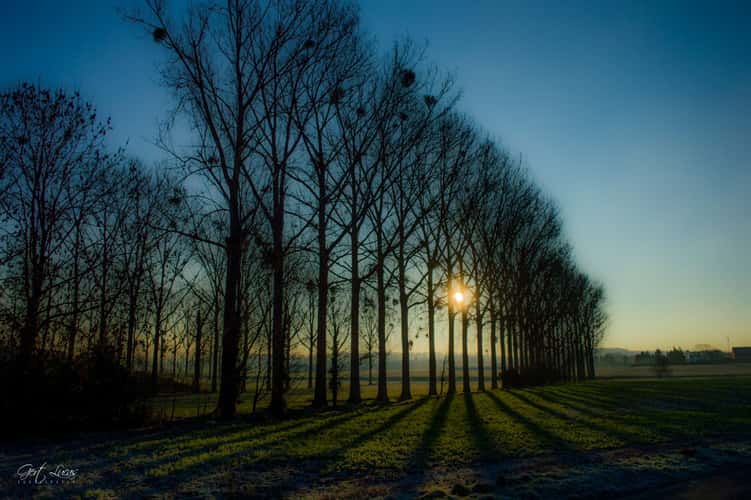 Pajot Sunrise