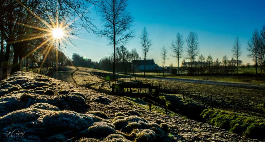 Pajot Sunrise
