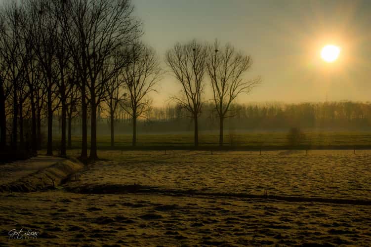 Pajot Sunrise