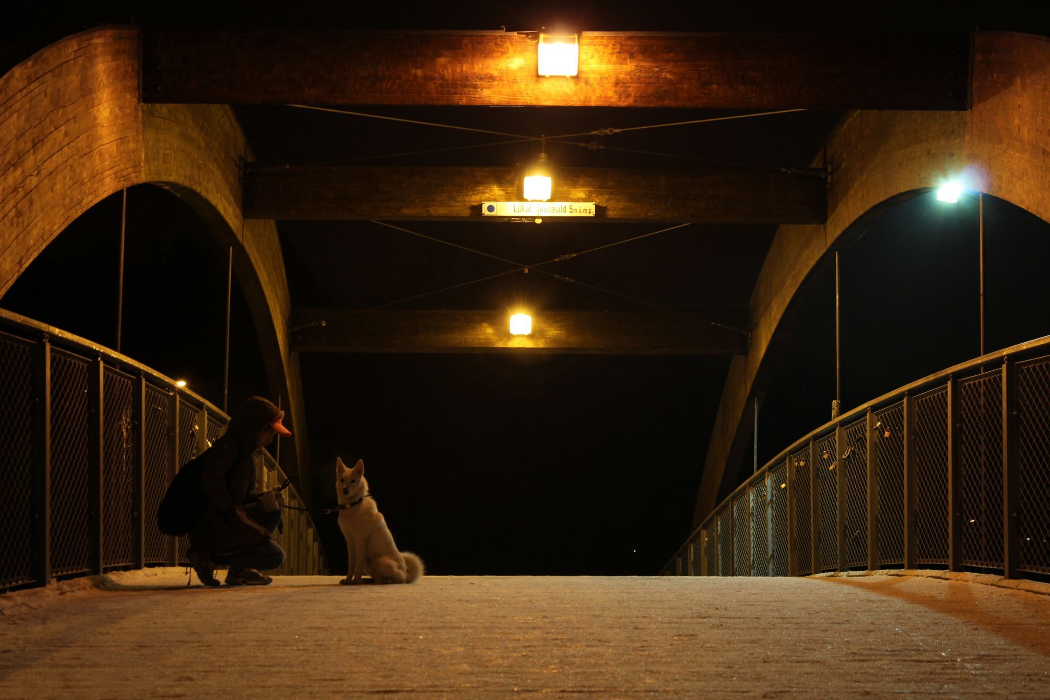Pirita Tervise Rada Bridge, Estonia