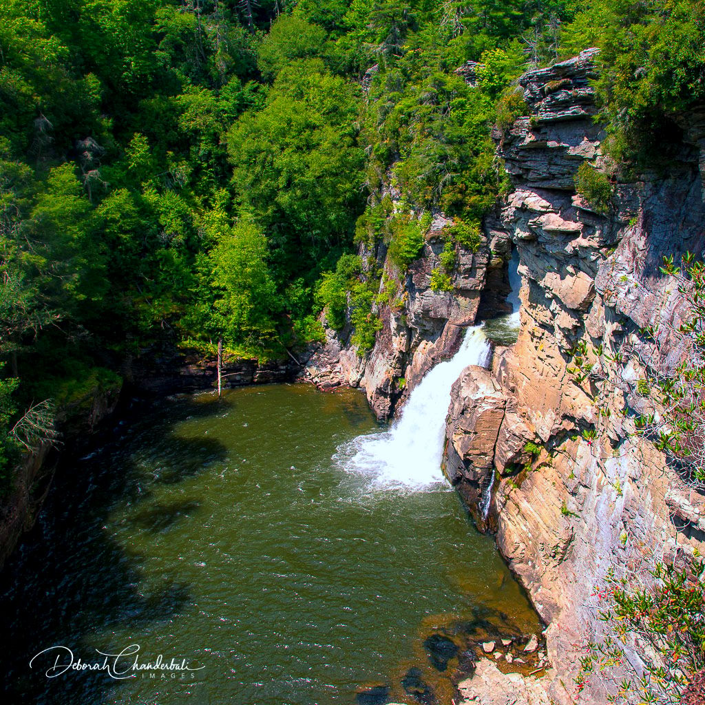 Plunge Basin Overlook Trail, Blue Ridge Parkway, North Carolina, USA