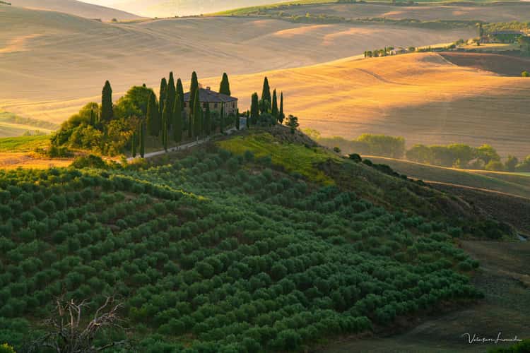 Podere Belvedere in the Val D'orcia Tuscany