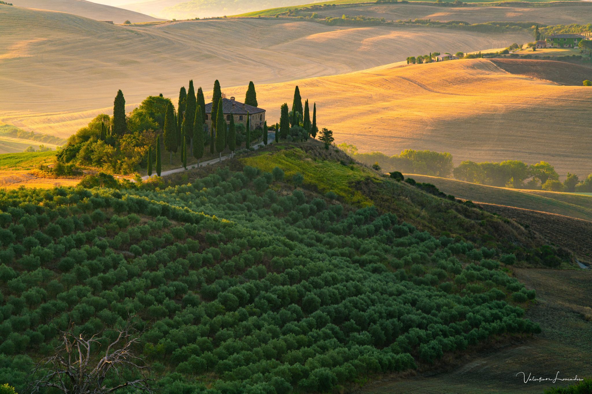 Podere Belvedere in the Val D'orcia Tuscany, Italy