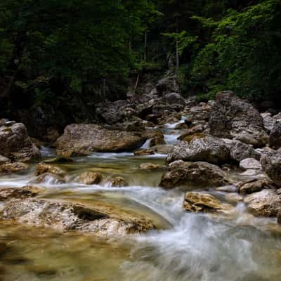 Pollat River, Germany