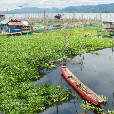 Poso lake, Indonesia