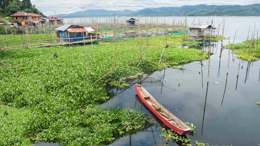 Poso lake