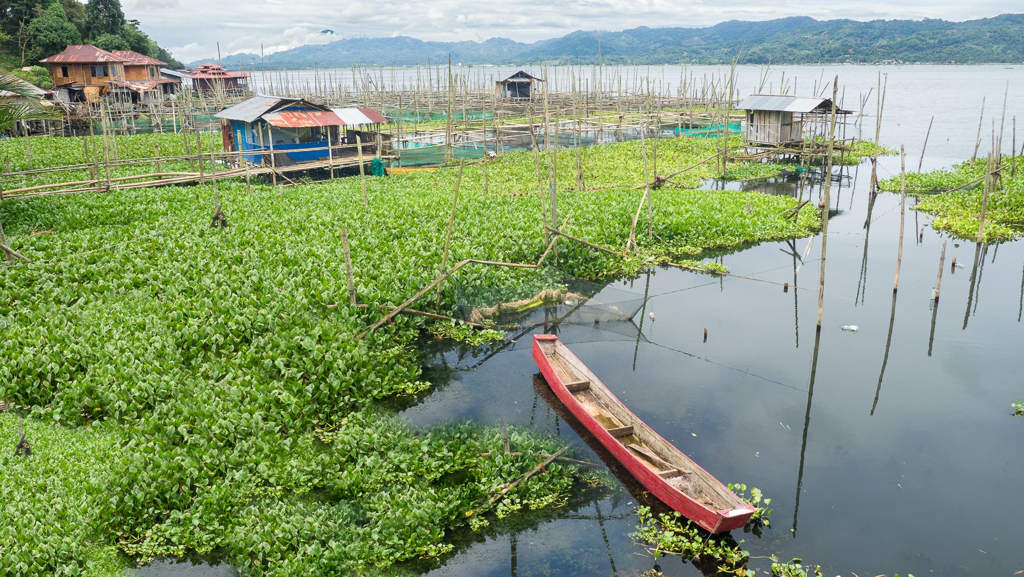 Poso lake, Indonesia