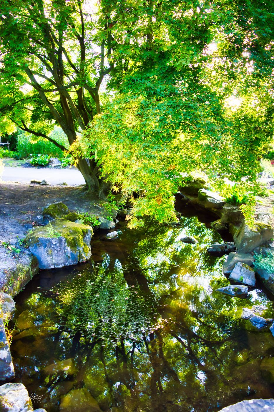 Provincial gardens of Huizingen, Belgium