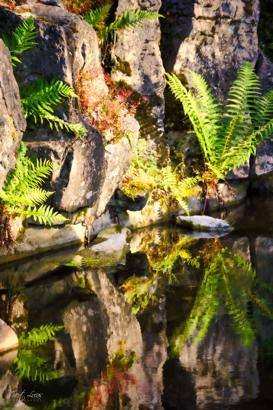 Provincial gardens of Huizingen, Belgium