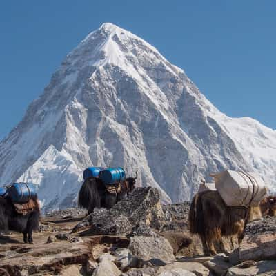 Pumori, Nepal