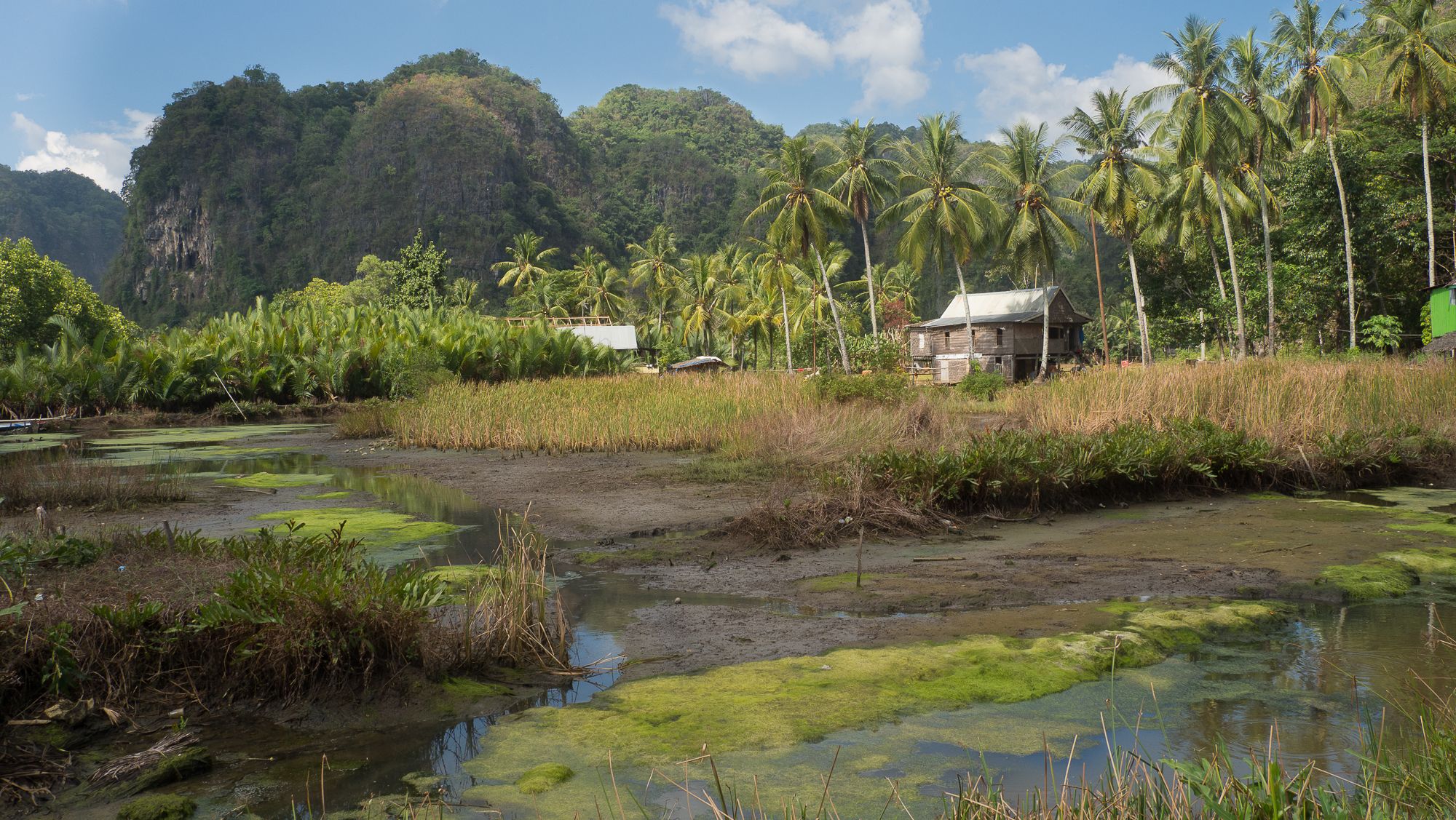 Ramang Ramang, Indonesia
