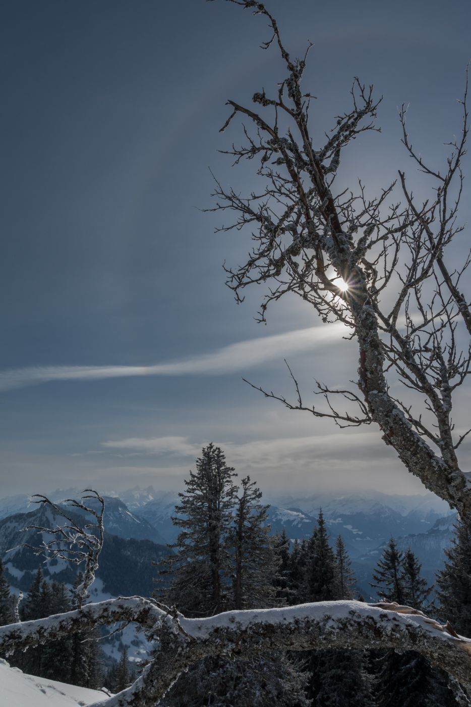 Rigi Scheidegg, Switzerland