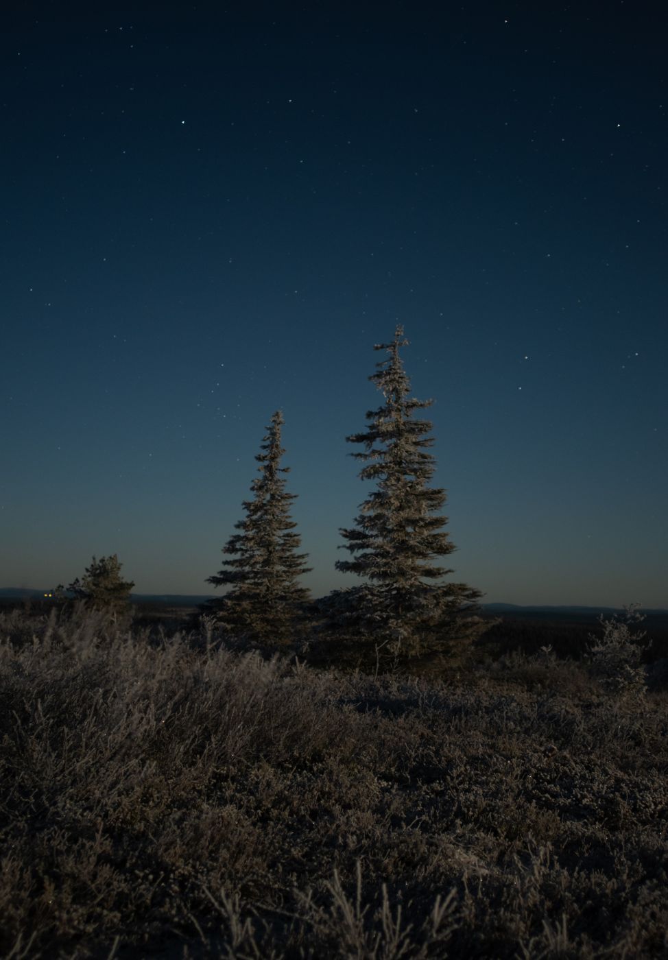 Riisitunturi, Finland