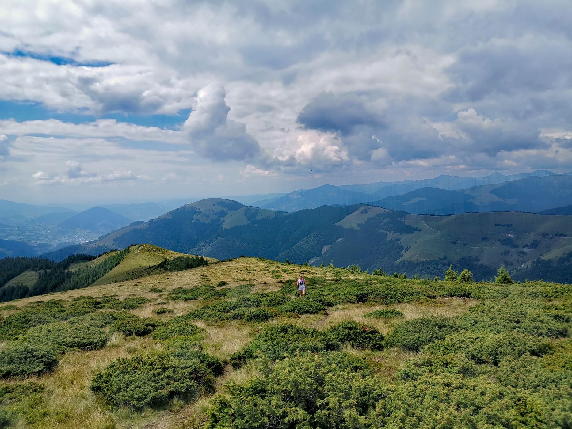 Rodnei Mountains, Cobasel Peak 1835 m, Romania